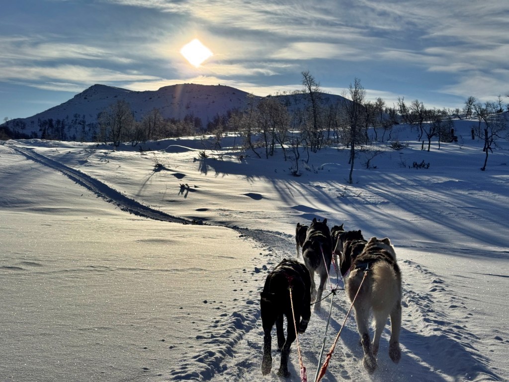 A team of sled dogs pulls a sled along a snowy trail toward a sunlit mountain peak